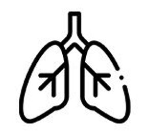 Imagine pentru categorie Respiratorii