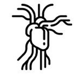 Imagine pentru categorie Cardiovasculare