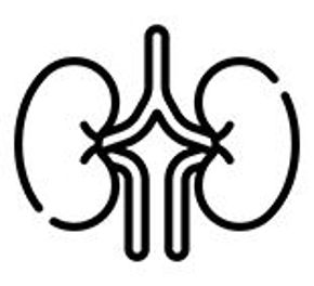 Imagine pentru categorie Urogenitale